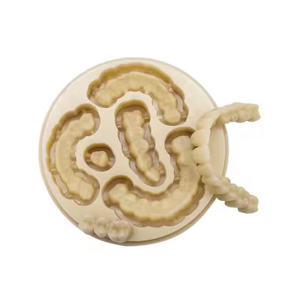 nama
